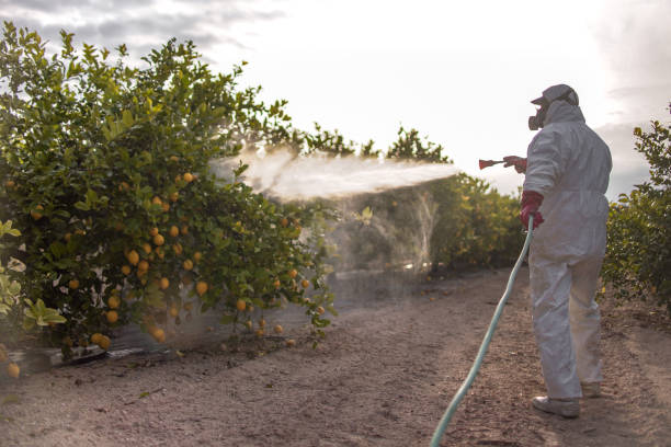 Pest Control for Warehouses in Lorane, PA